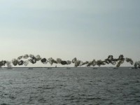 全民國防知性之旅左營海軍基地開放